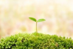 女性も活躍できる墨出し工の求人情報